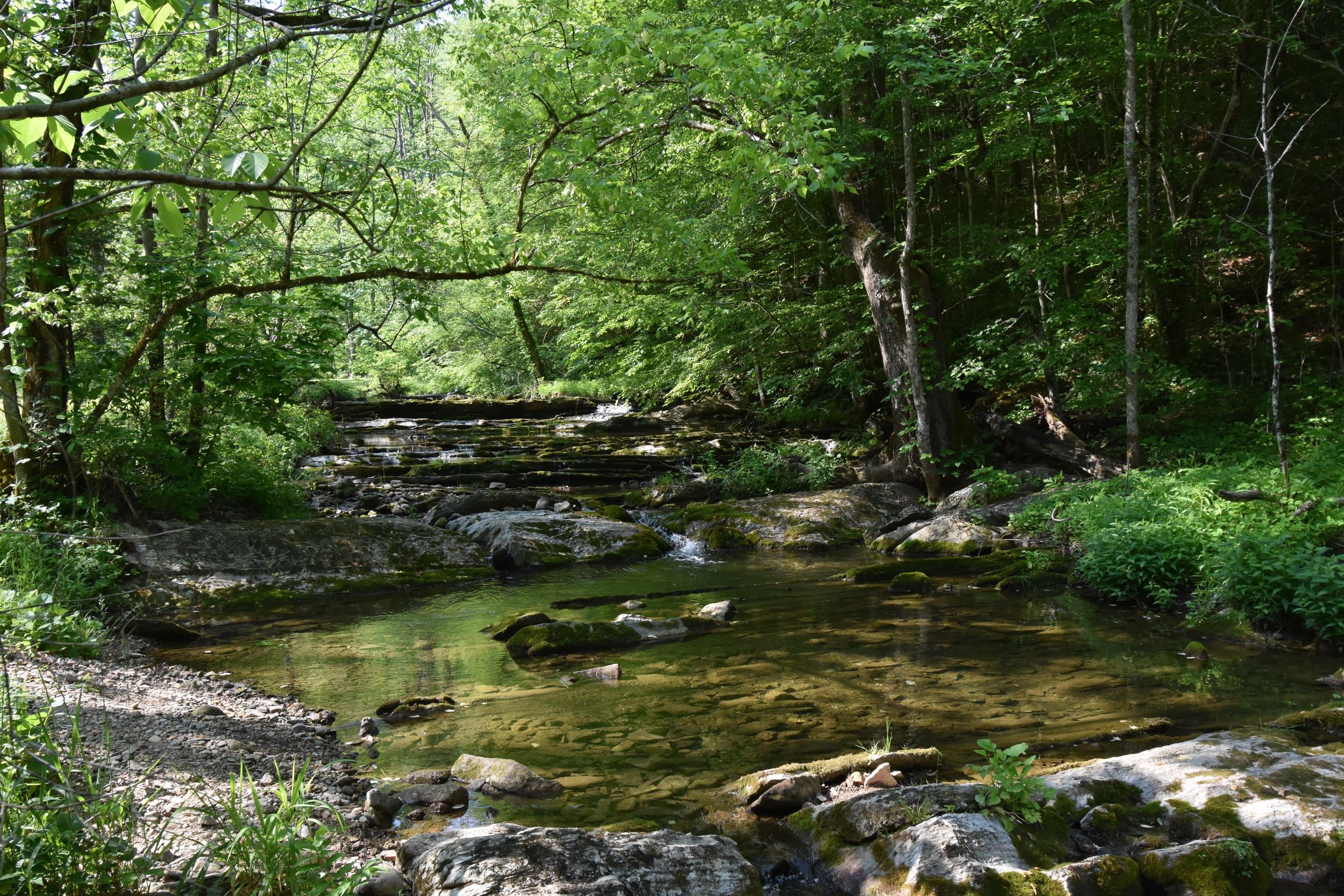 Sneedville, Hancock County, TN Undeveloped Land for sale Property ID