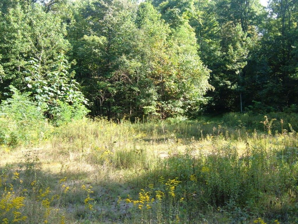Helenwood, Scott County, TN Undeveloped Land for sale Property ID