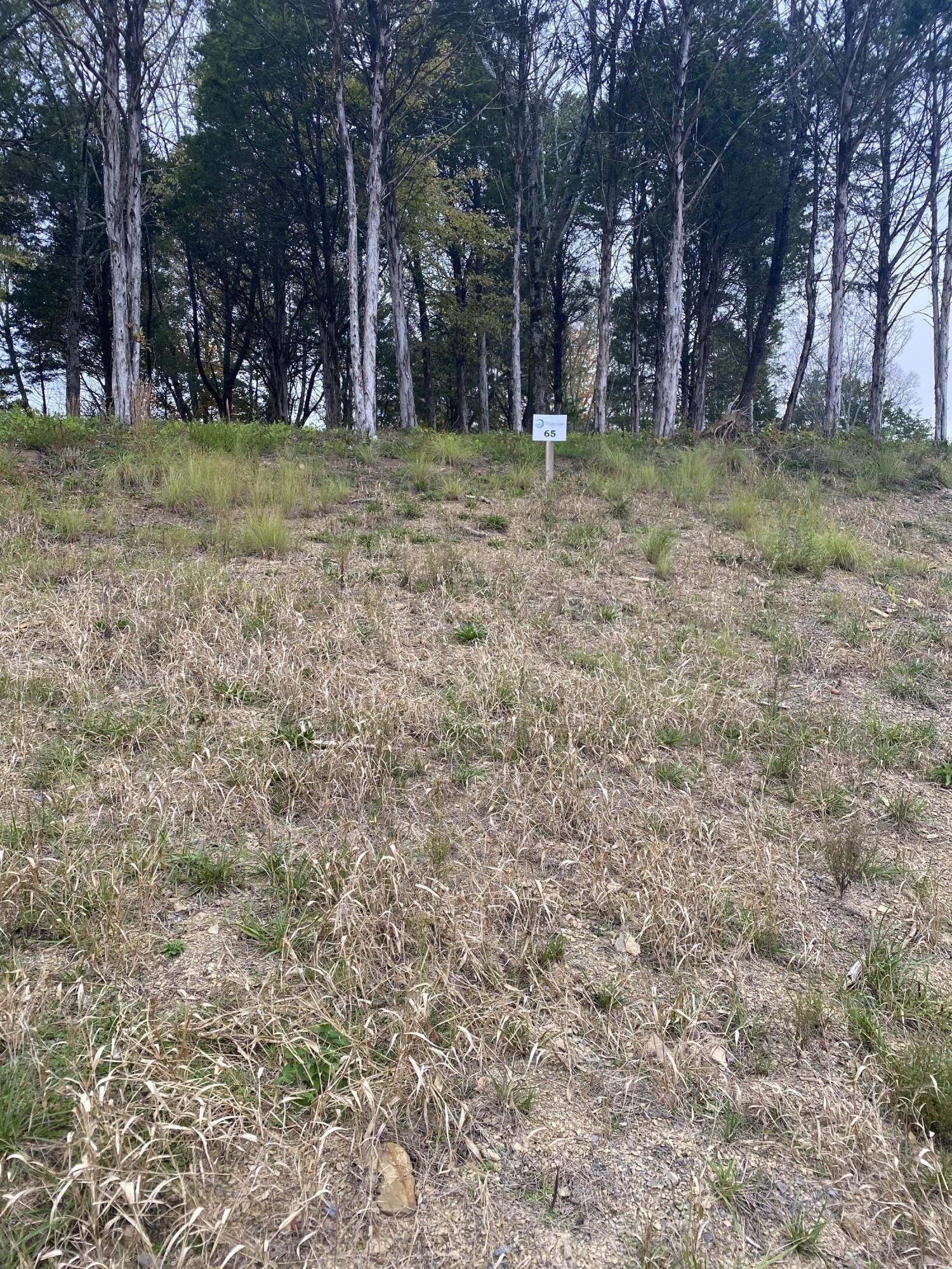 Dandridge, Jefferson County, TN Lakefront Property, Waterfront Property