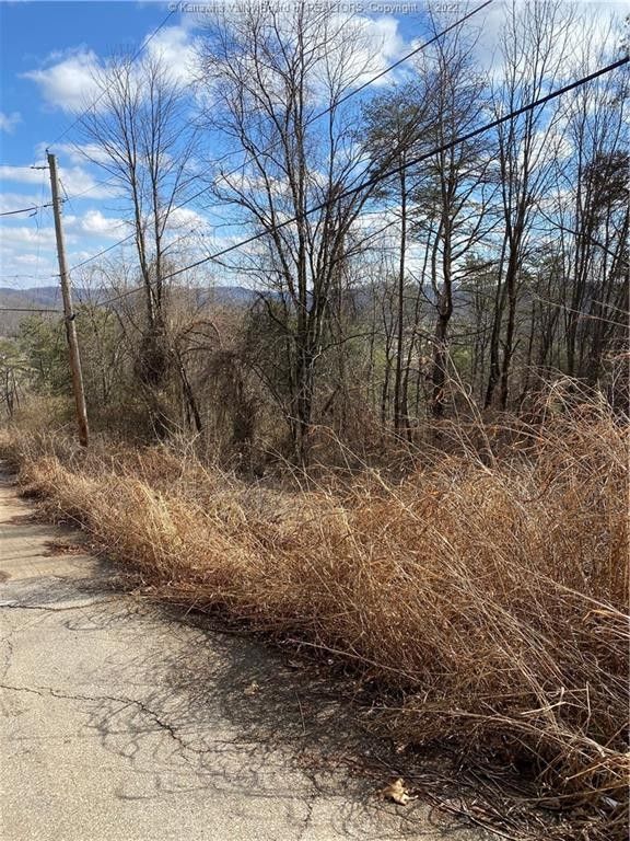 Charleston, Kanawha County, WV Undeveloped Land for sale Property ID