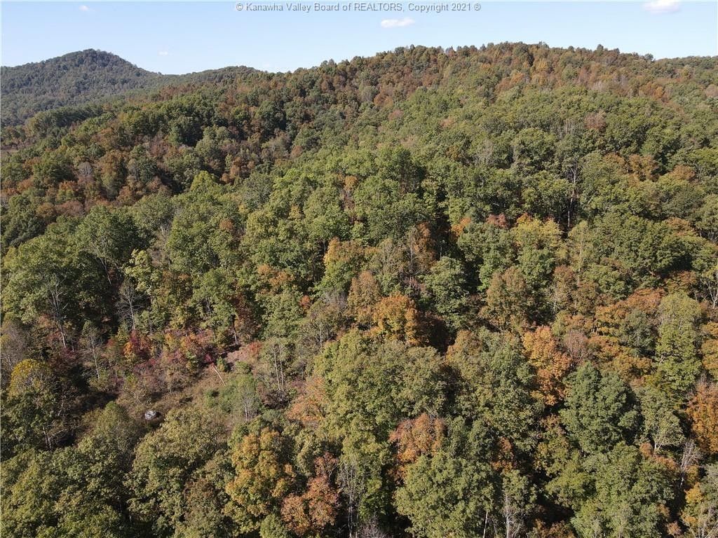 Big Otter, Clay County, WV Undeveloped Land for sale Property ID