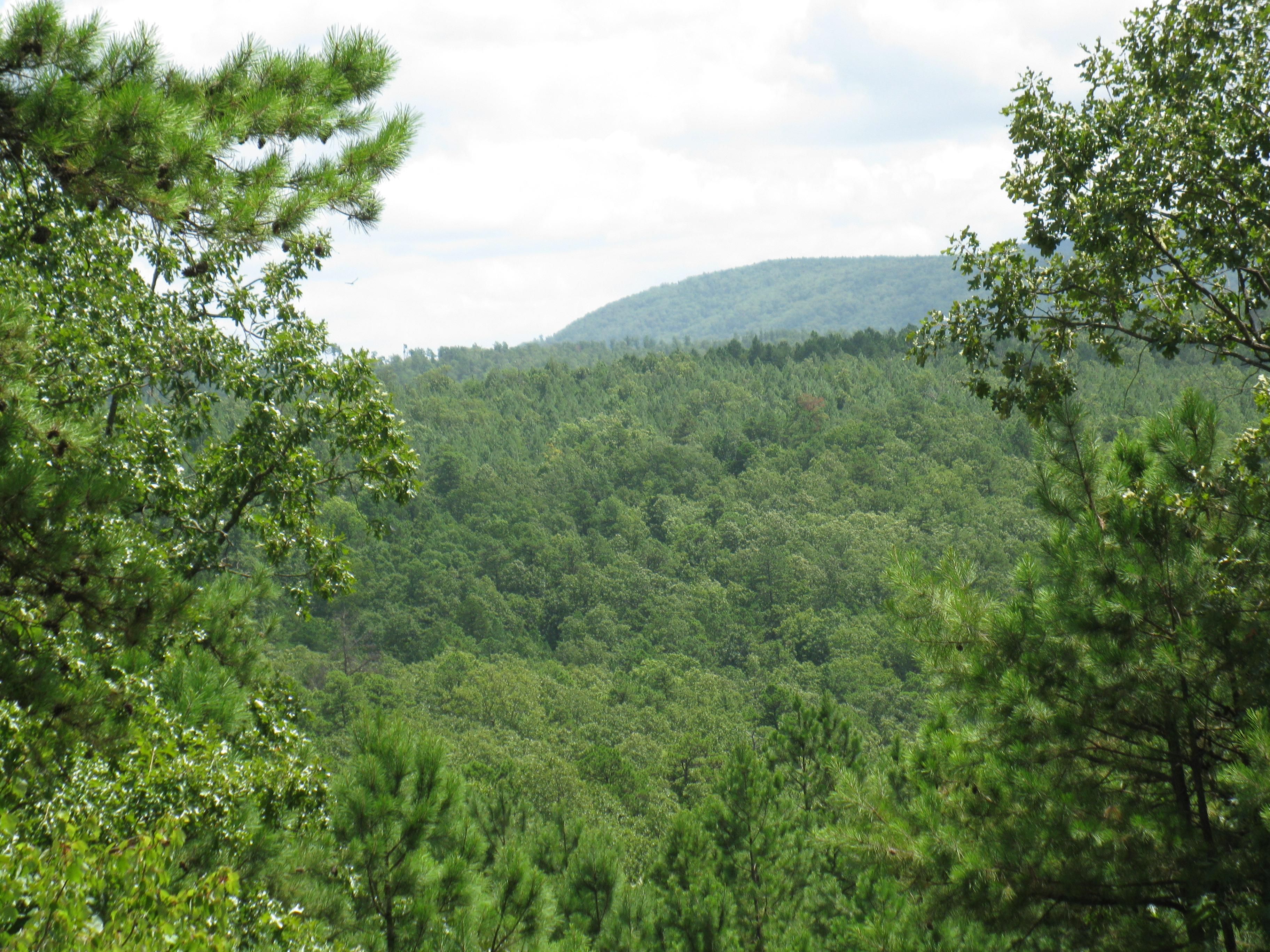 Wister, Le Flore County, OK Recreational Property, Hunting Property for