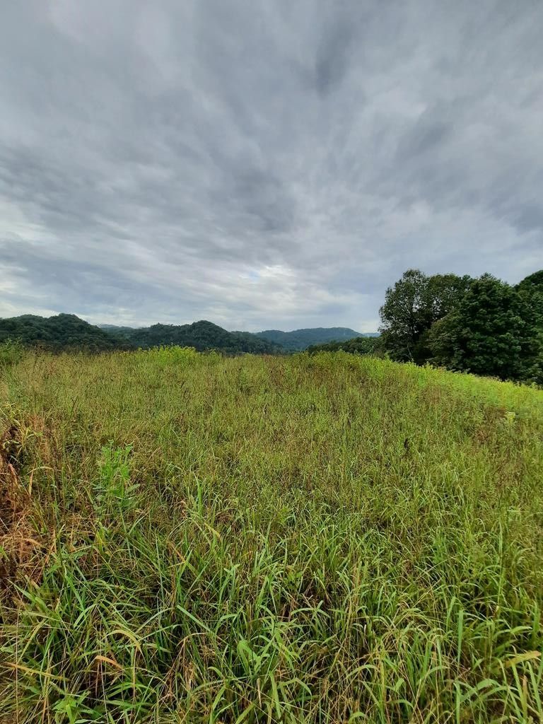 Sneedville, Hancock County, TN Undeveloped Land for sale Property ID