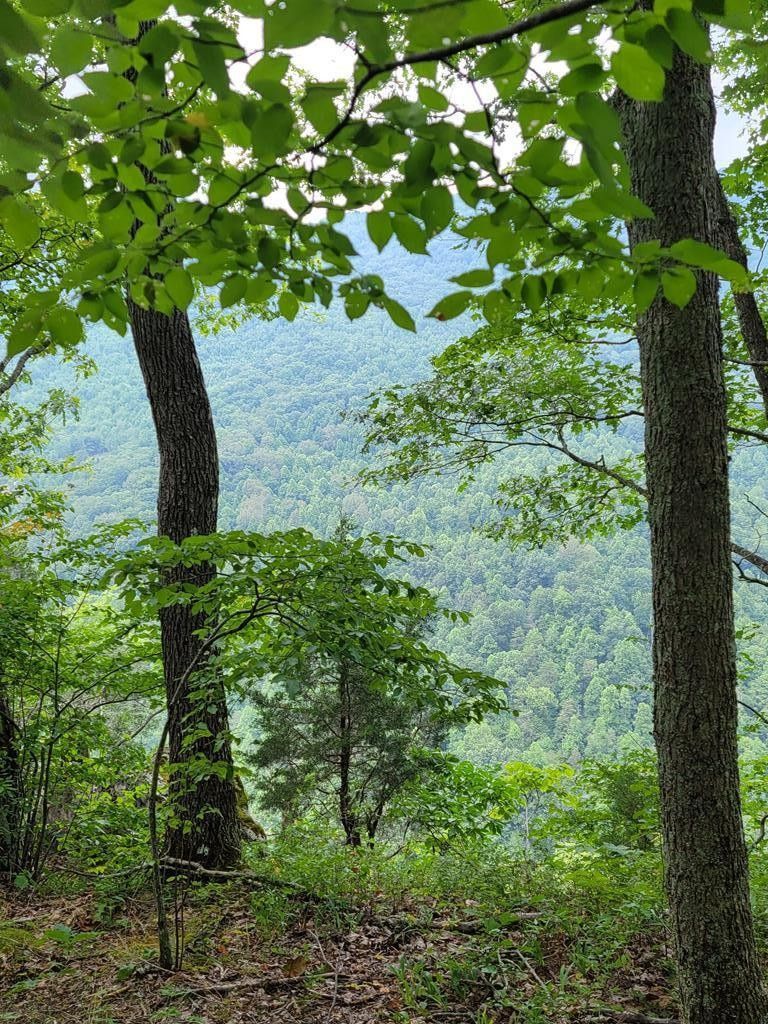 Sneedville, Hancock County, TN Undeveloped Land for sale Property ID