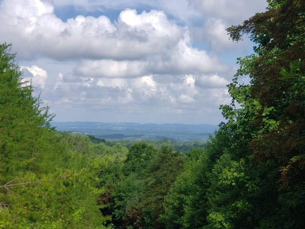 Newport, Cocke County, TN Undeveloped Land for sale Property ID