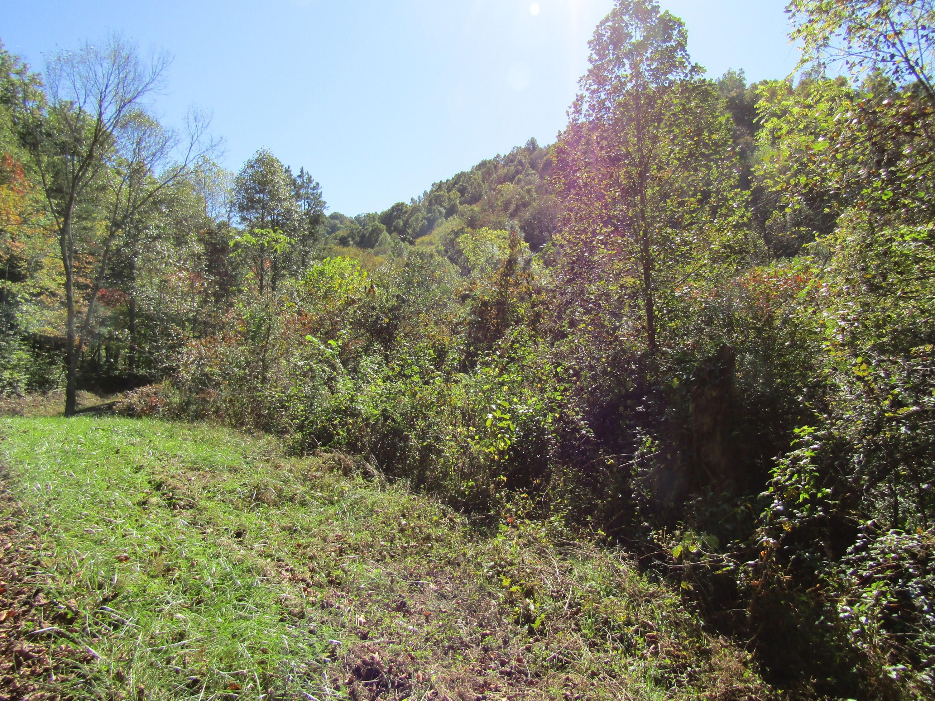 Flat Lick, Knox County, KY Farms and Ranches for sale Property ID