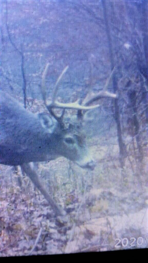 Vanceburg, Lewis County, KY Farms and Ranches for sale Property ID