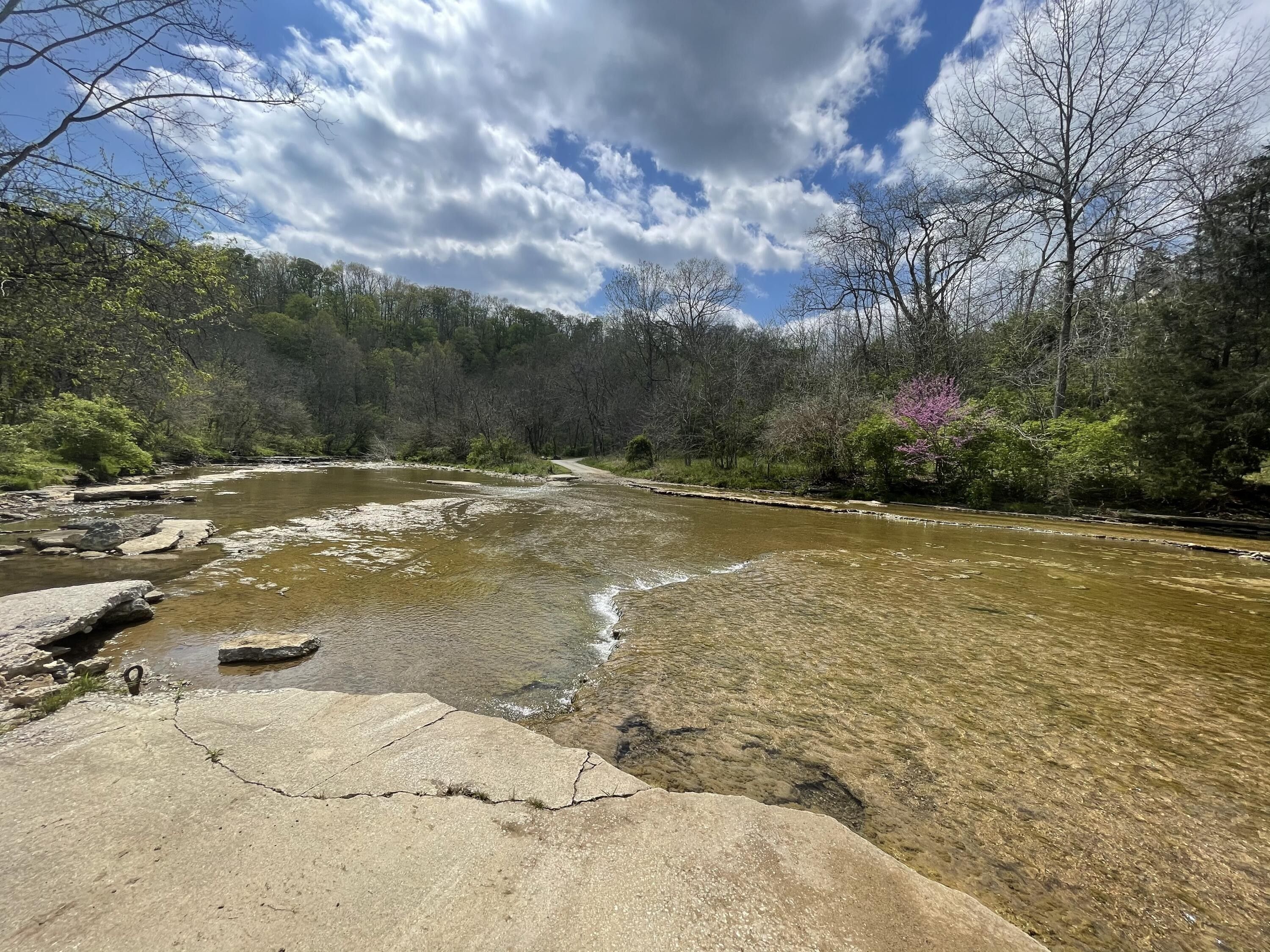 Winchester, Clark County, KY Farms and Ranches for sale Property ID