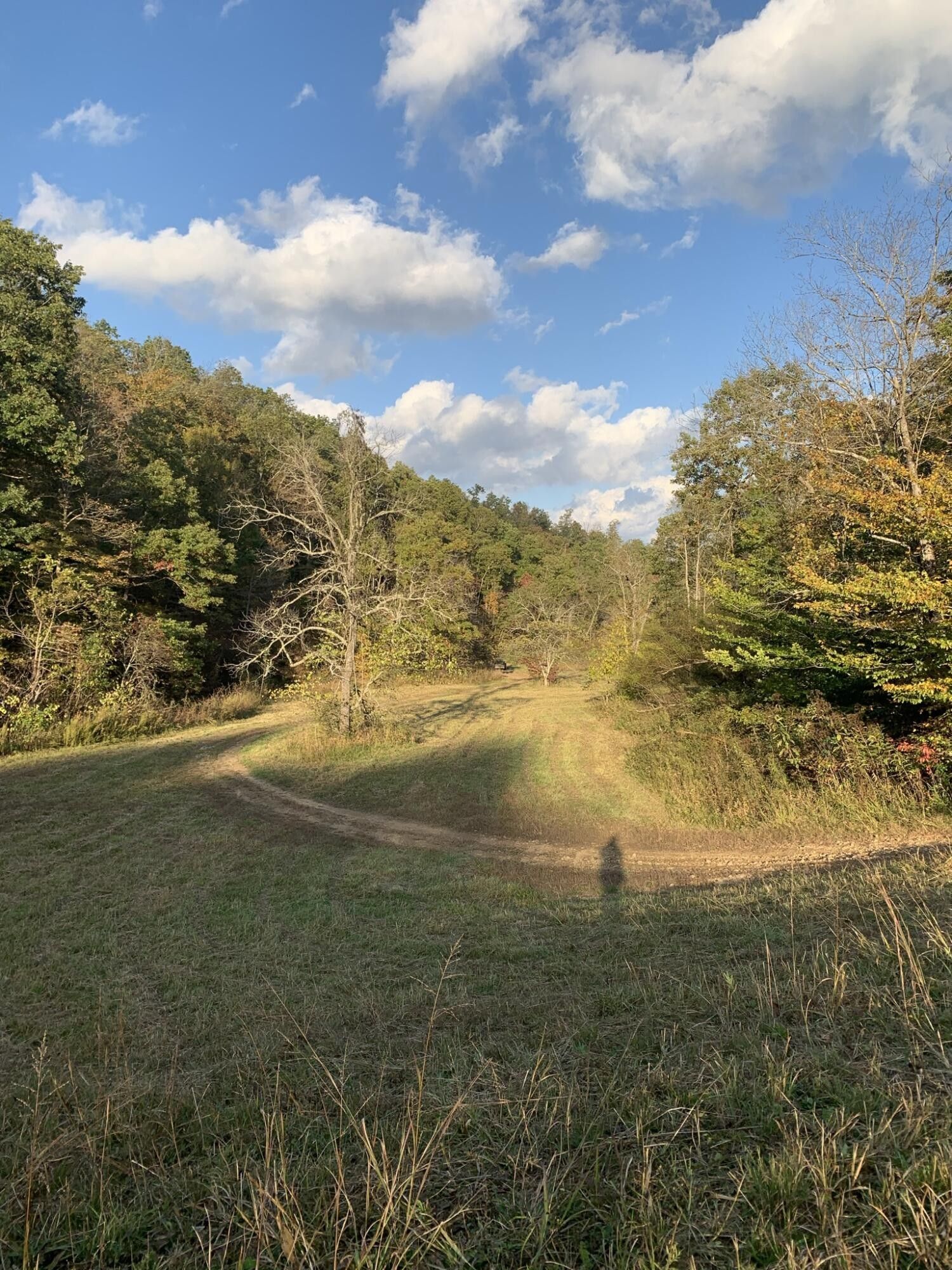 Garrison, Lewis County, KY Farms and Ranches for sale Property ID