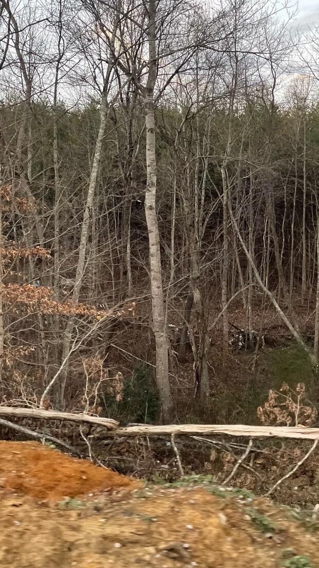 Pine Knot, McCreary County, KY Undeveloped Land for sale Property ID