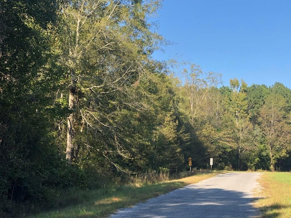 Pachuta, Jasper County, MS Undeveloped Land for sale Property ID