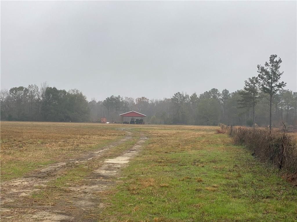 Tuskegee, Macon County, AL Undeveloped Land for sale Property ID 412153669 LandWatch