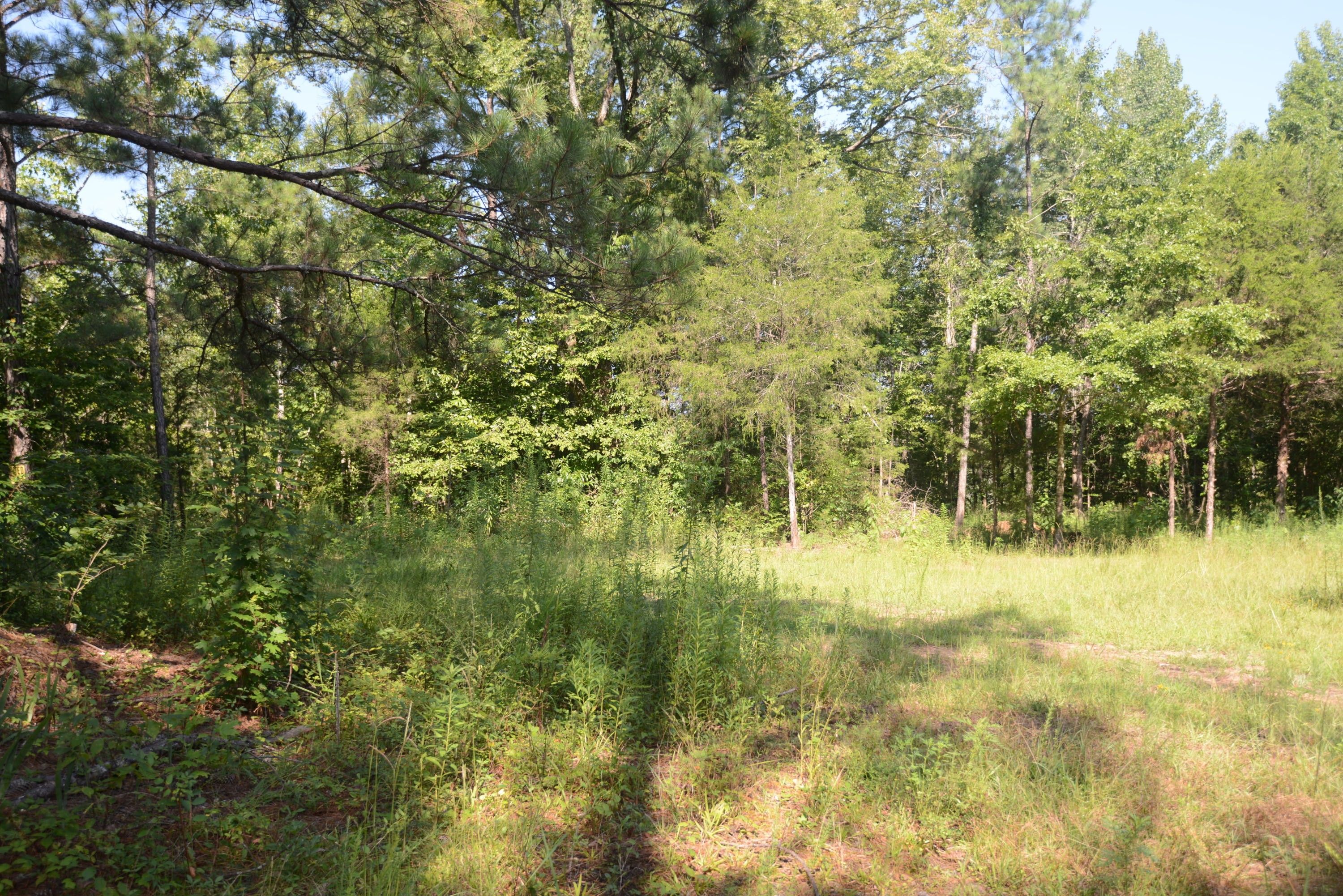 Rockford, Coosa County, AL Farms and Ranches for sale Property ID