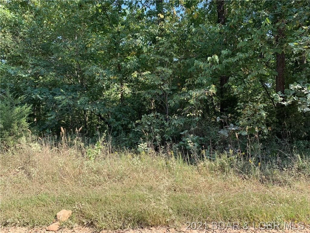 Versailles, County, MO Undeveloped Land for sale Property ID