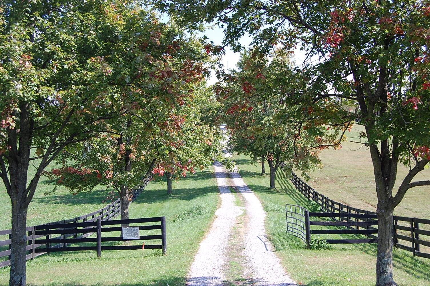 Versailles, Woodford County, KY Farms and Ranches for sale Property ID