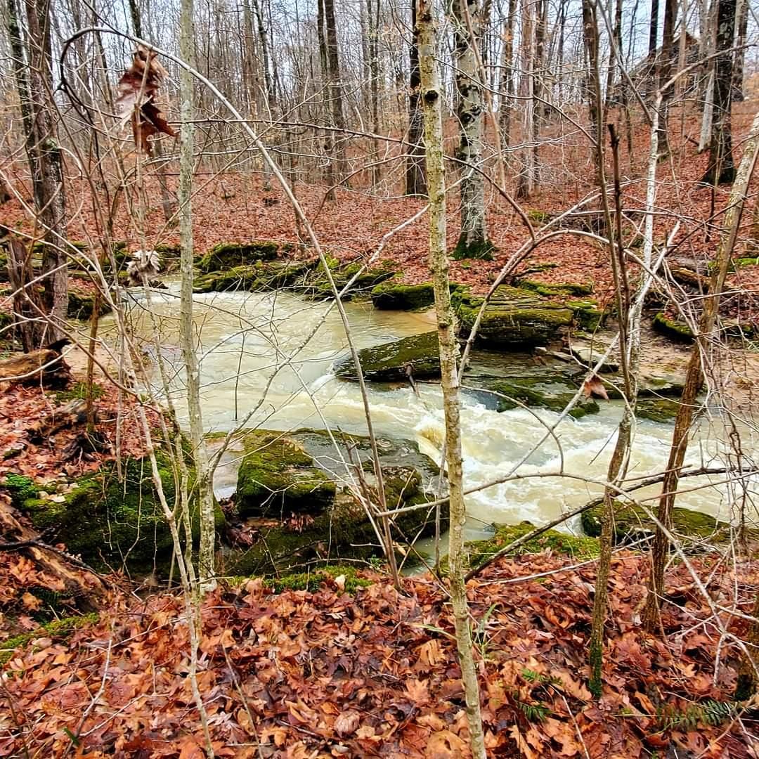 Paragon, Owen County, IN Undeveloped Land, Homesites for sale Property