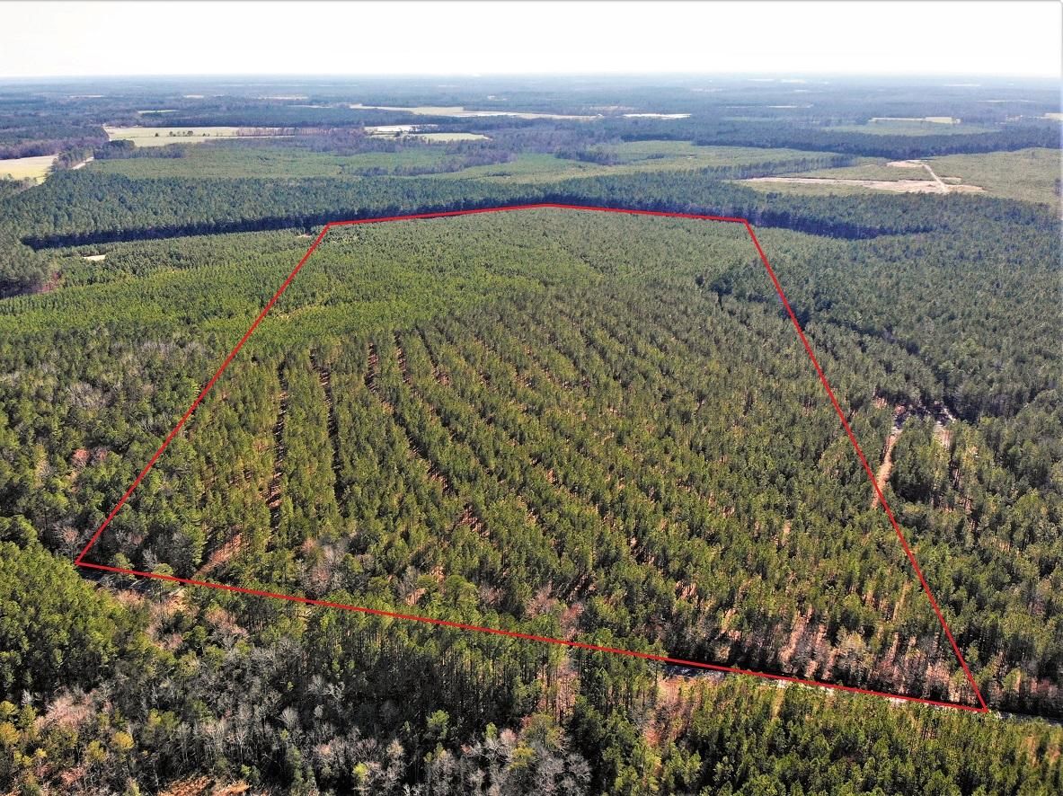 Waverly, Surry County, VA Recreational Property, Undeveloped Land