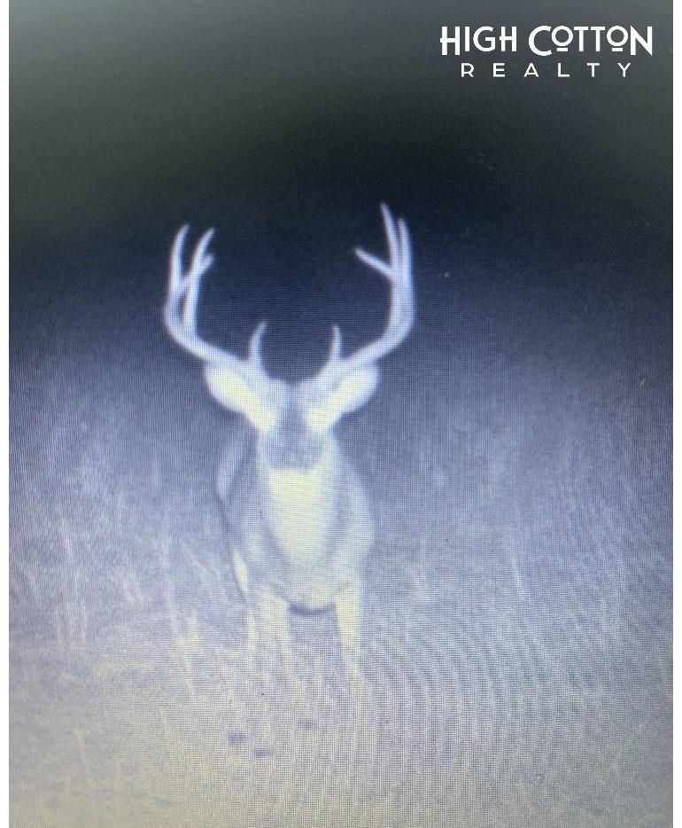 Pickens, Yazoo County, MS Recreational Property, Timberland Property