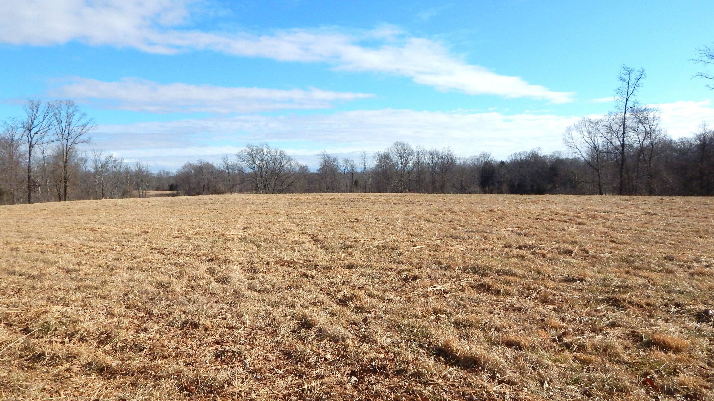 Coldwater, Tate County, MS Recreational Property, Horse Property for