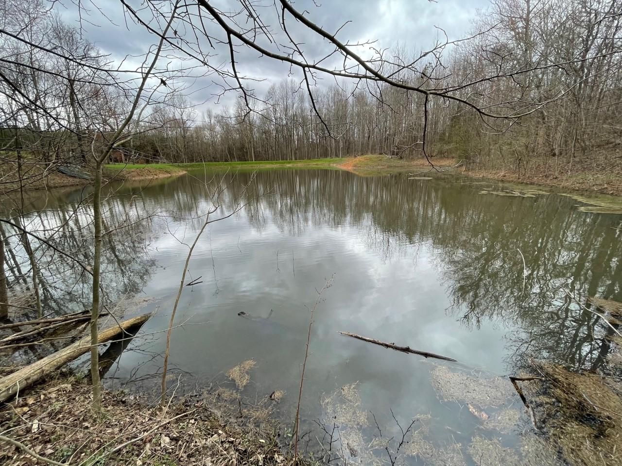 Cottage Grove, Henry County, TN Farms and Ranches, Timberland Property