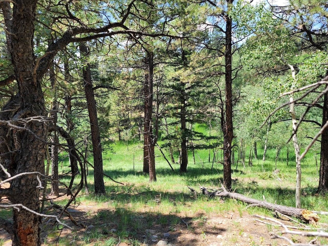 Aguilar, Las Animas County, CO Recreational Property, Undeveloped Land, Homesites for sale