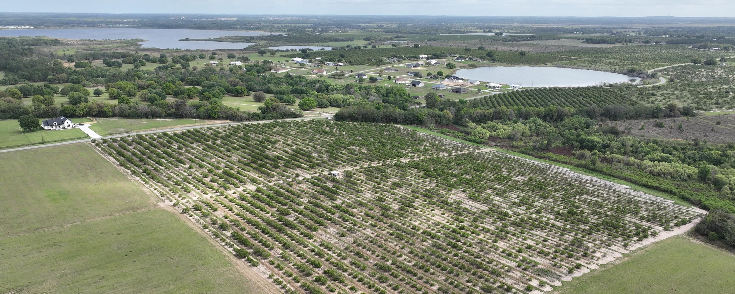 Bartow, Polk County, FL Farms and Ranches, Undeveloped Land for sale Property ID 413022576