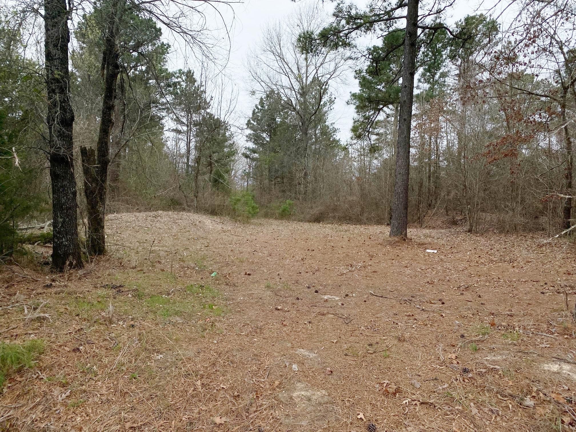 De Kalb, Bowie County, TX Farms and Ranches, Recreational Property