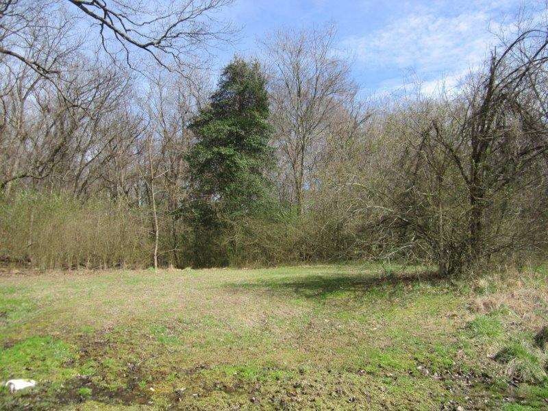 Ripley, Lauderdale County, TN Undeveloped Land, Homesites for sale