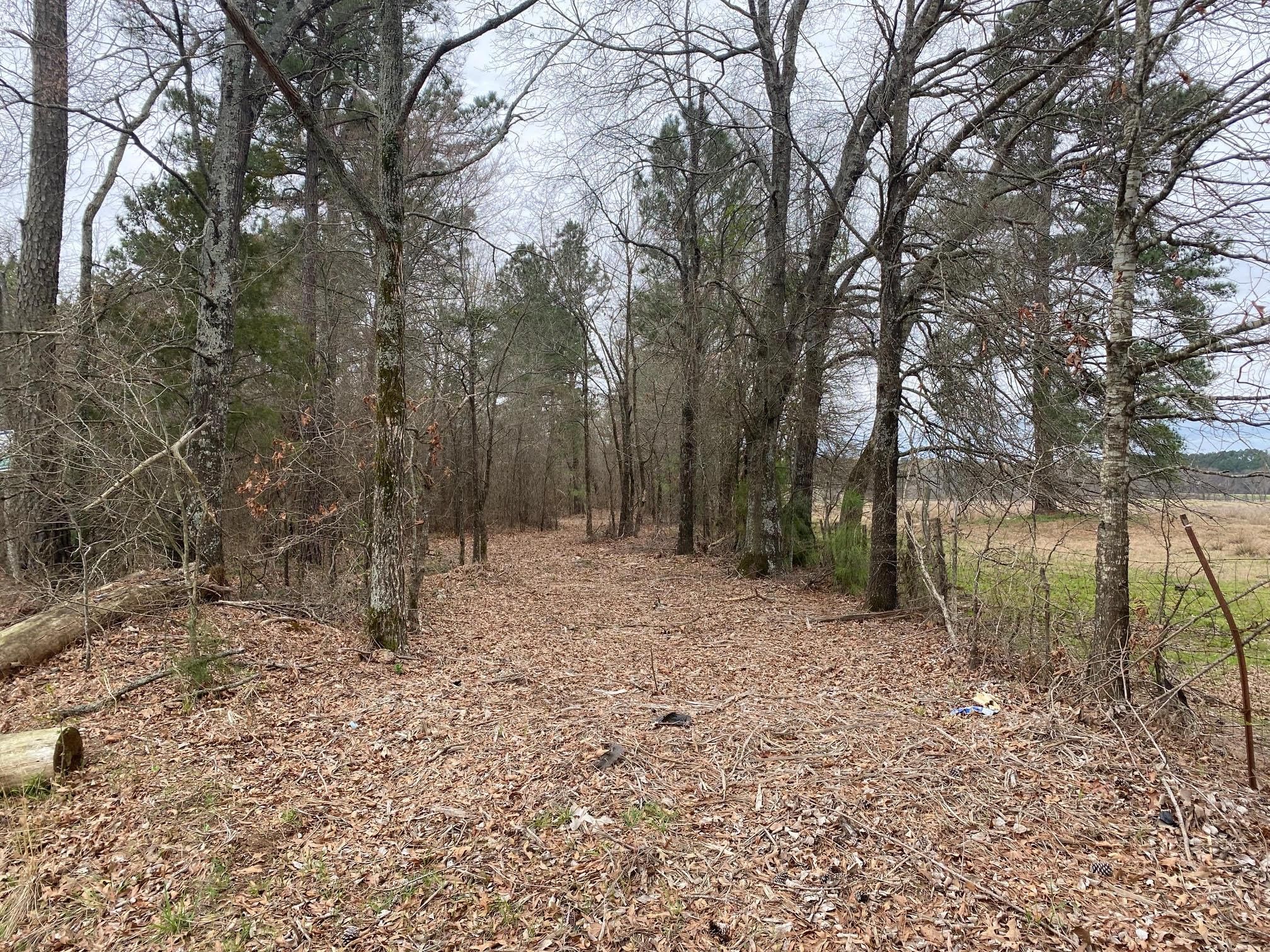 De Kalb, Bowie County, TX Farms and Ranches, Recreational Property