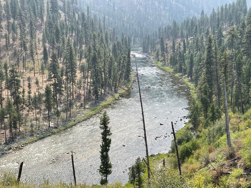 Warren, Idaho County, ID Undeveloped Land, Homesites for sale Property ID 411261616 LandWatch