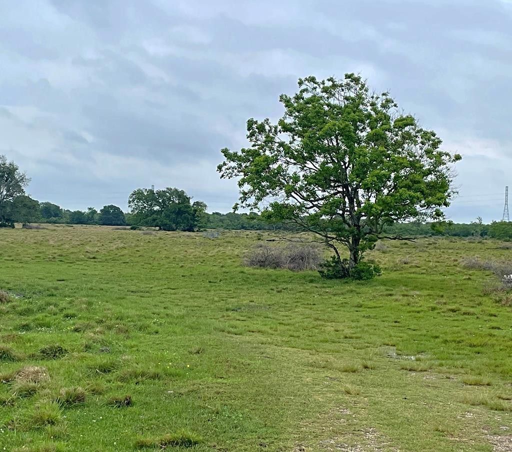 Alvin, Brazoria County, TX Farms and Ranches for sale Property ID