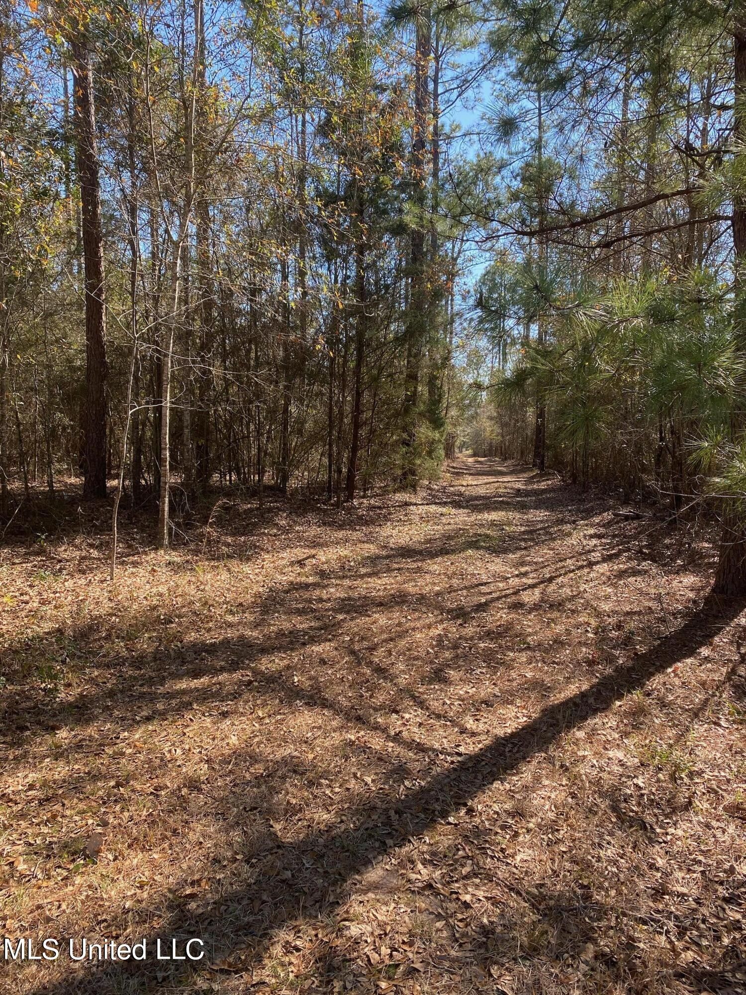 Lucedale, County, MS Undeveloped Land for sale Property ID