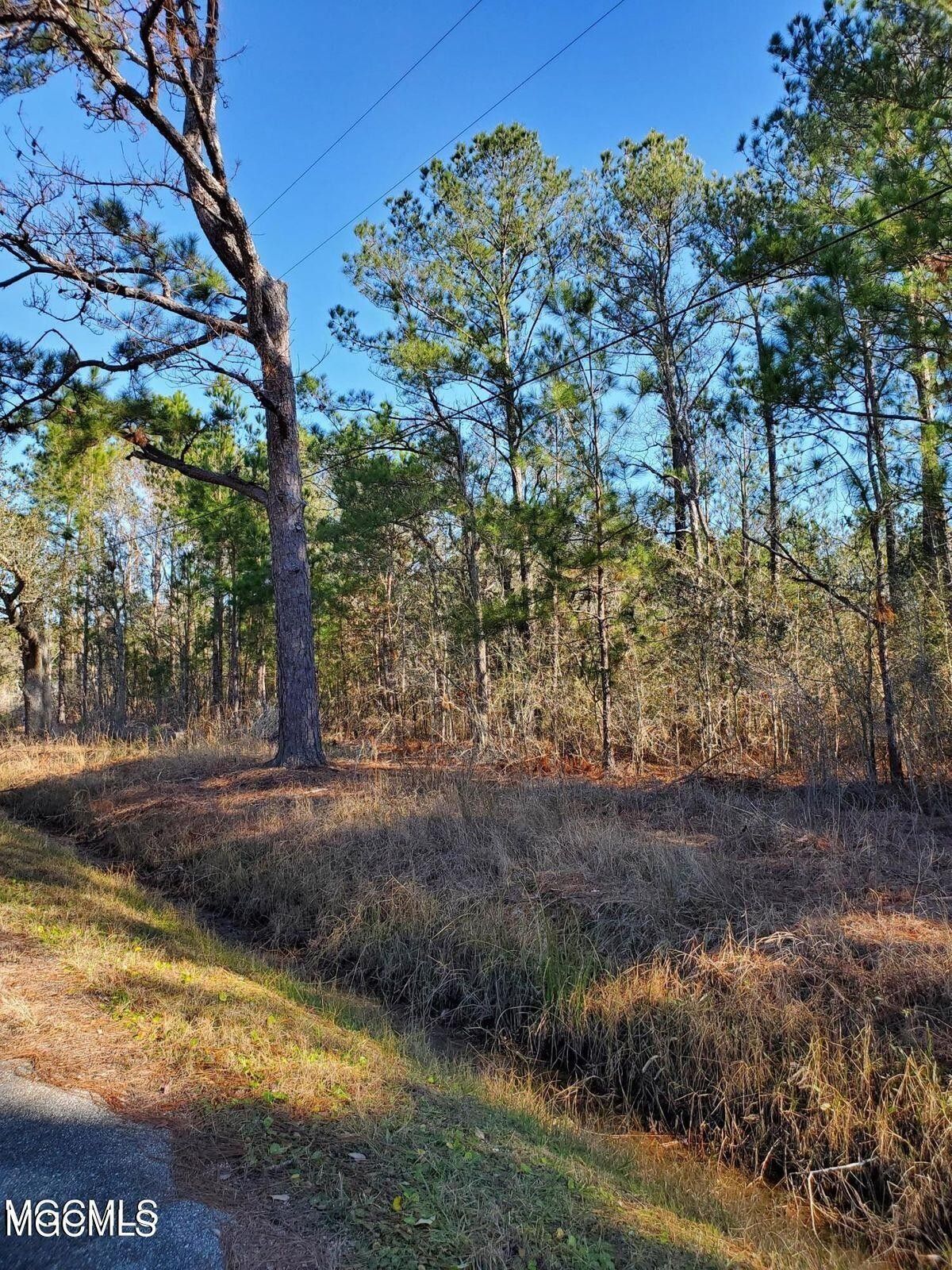 Bay Saint Louis, Hancock County, MS Undeveloped Land, Lakefront Property, Waterfront Property