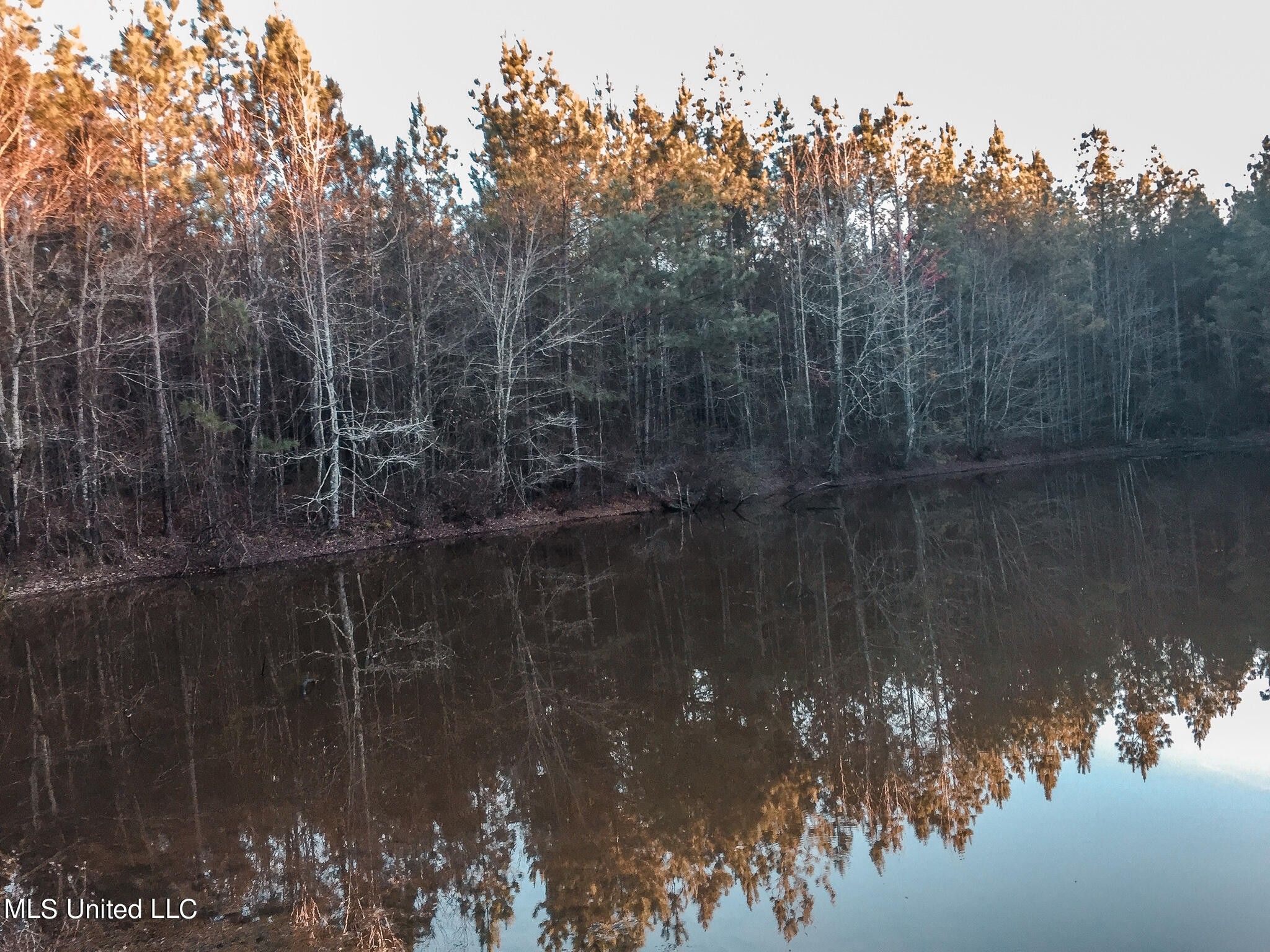 Ackerman, Choctaw County, MS Undeveloped Land, Lakefront Property