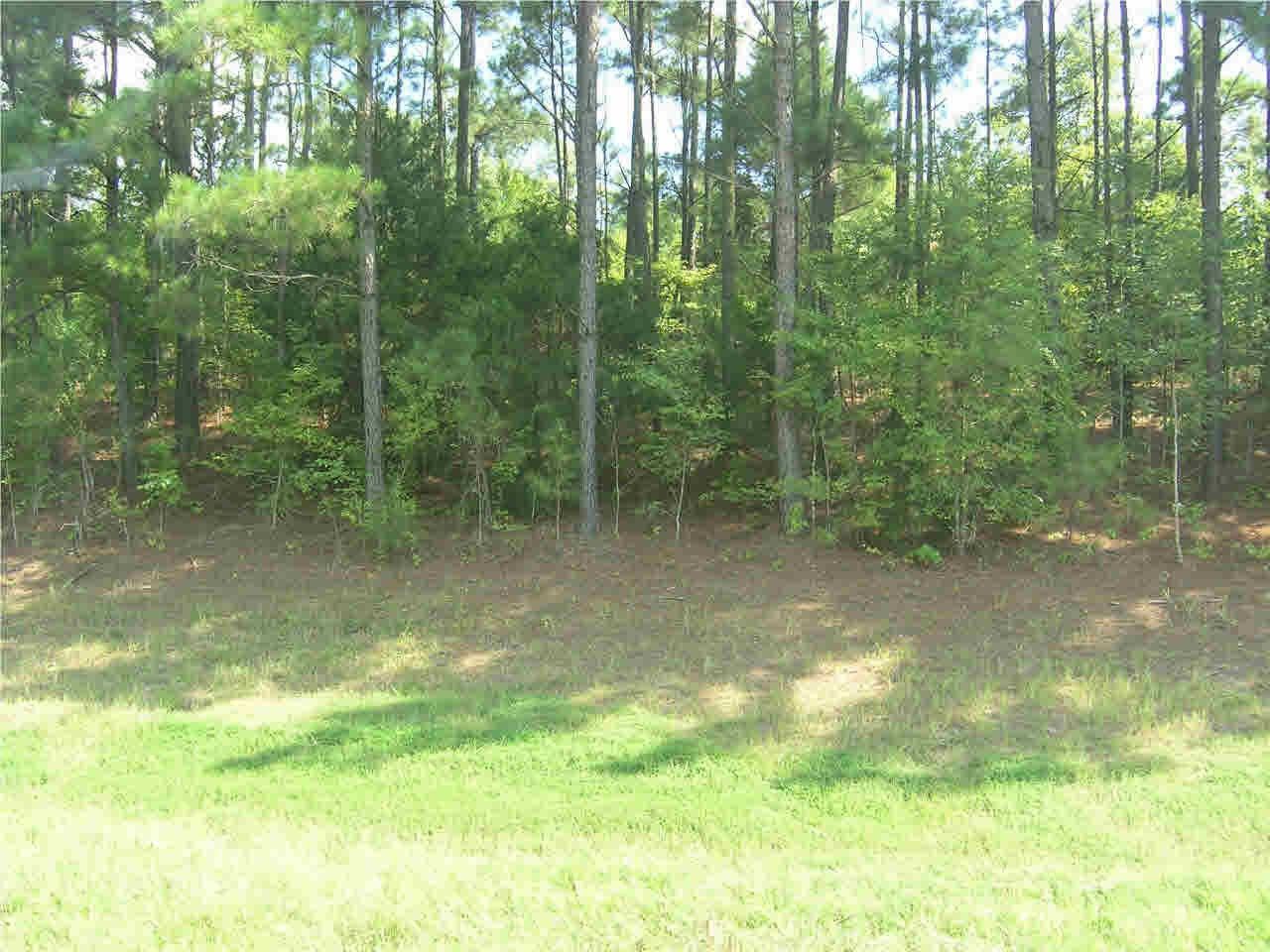 Jackson, Hinds County, MS Undeveloped Land for sale Property ID 412071085 LandWatch