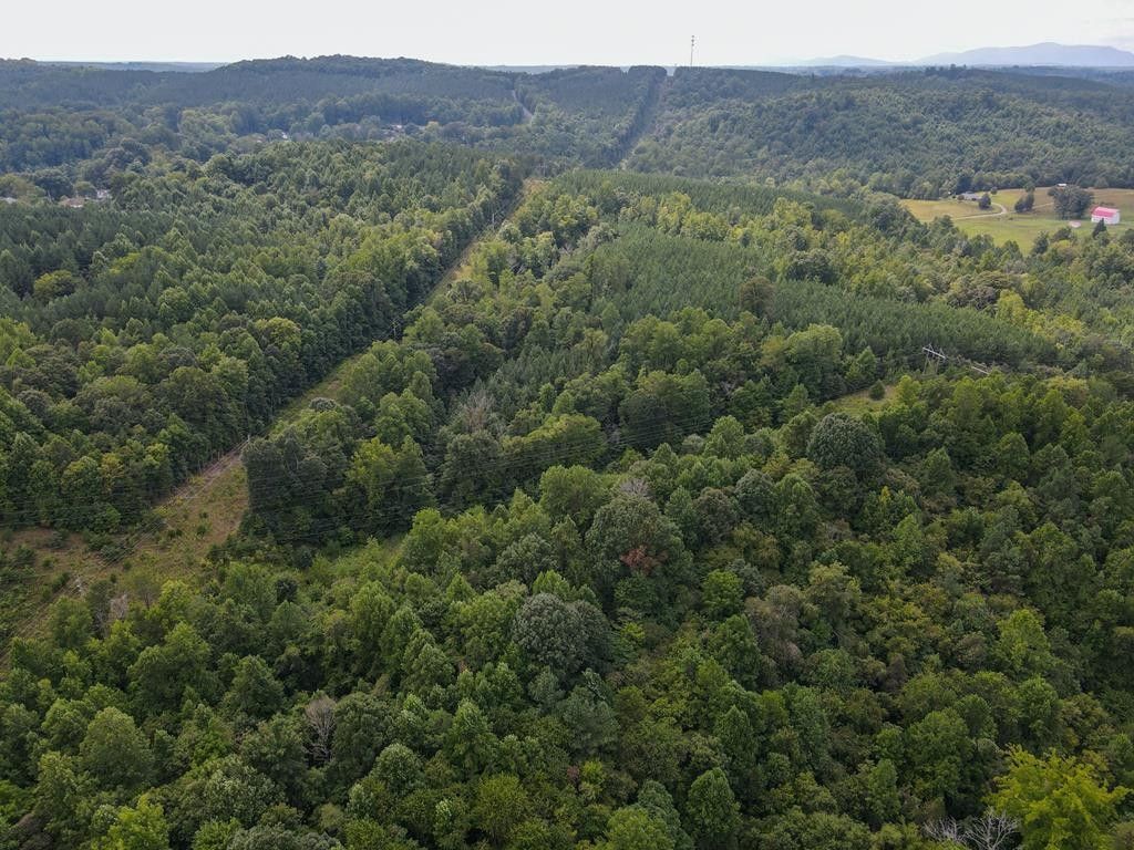 Fieldale, Henry County, VA Undeveloped Land for sale Property ID