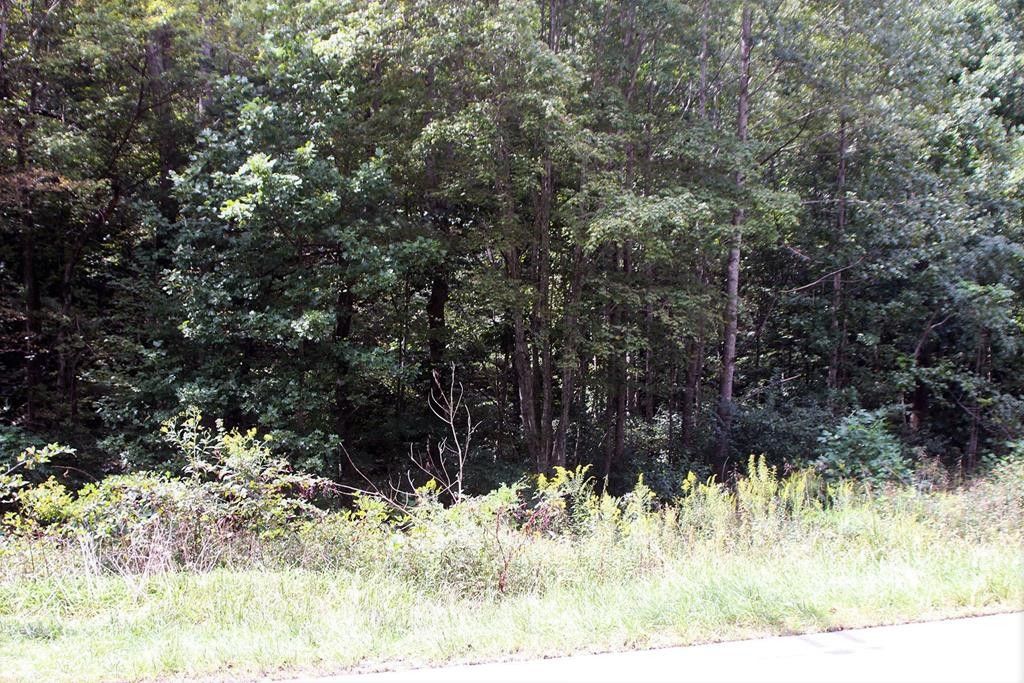 Woolwine, Patrick County, VA Undeveloped Land for sale Property ID