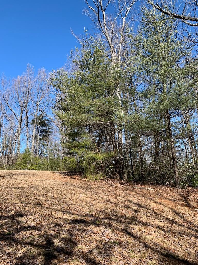 Woolwine, Patrick County, VA Undeveloped Land for sale Property ID