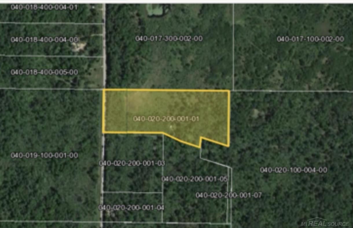 Alger, Gladwin County, MI Undeveloped Land for sale Property ID