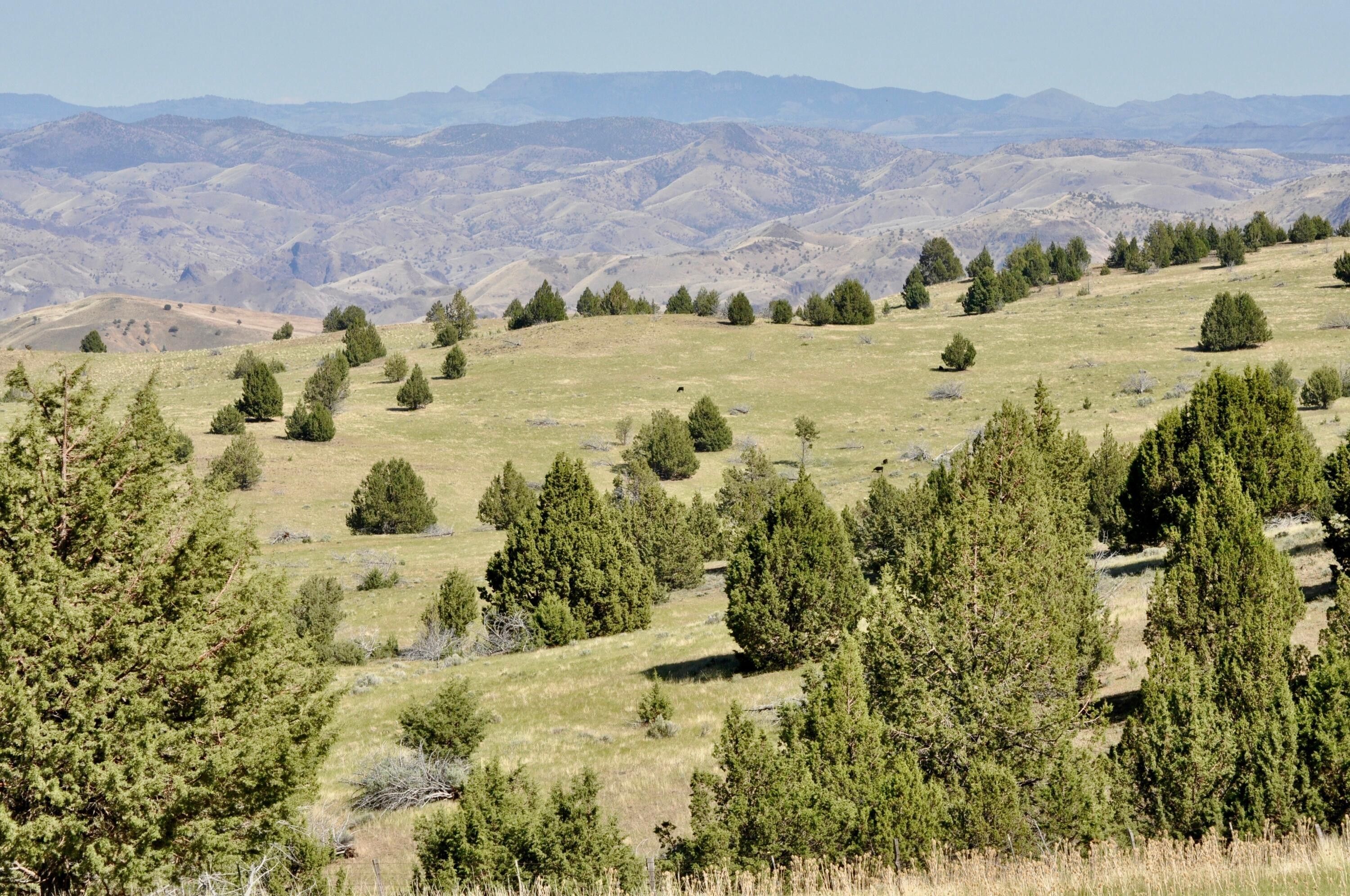 Antelope, Wasco County, OR Farms and Ranches for sale Property ID