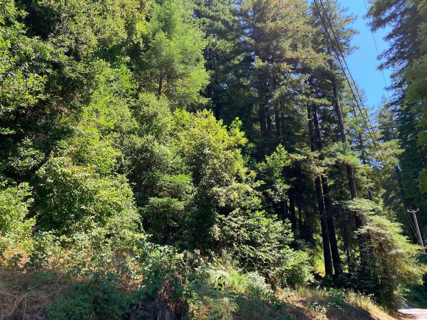 Ben Lomond, Santa Cruz County, CA Farms and Ranches, Homesites for sale