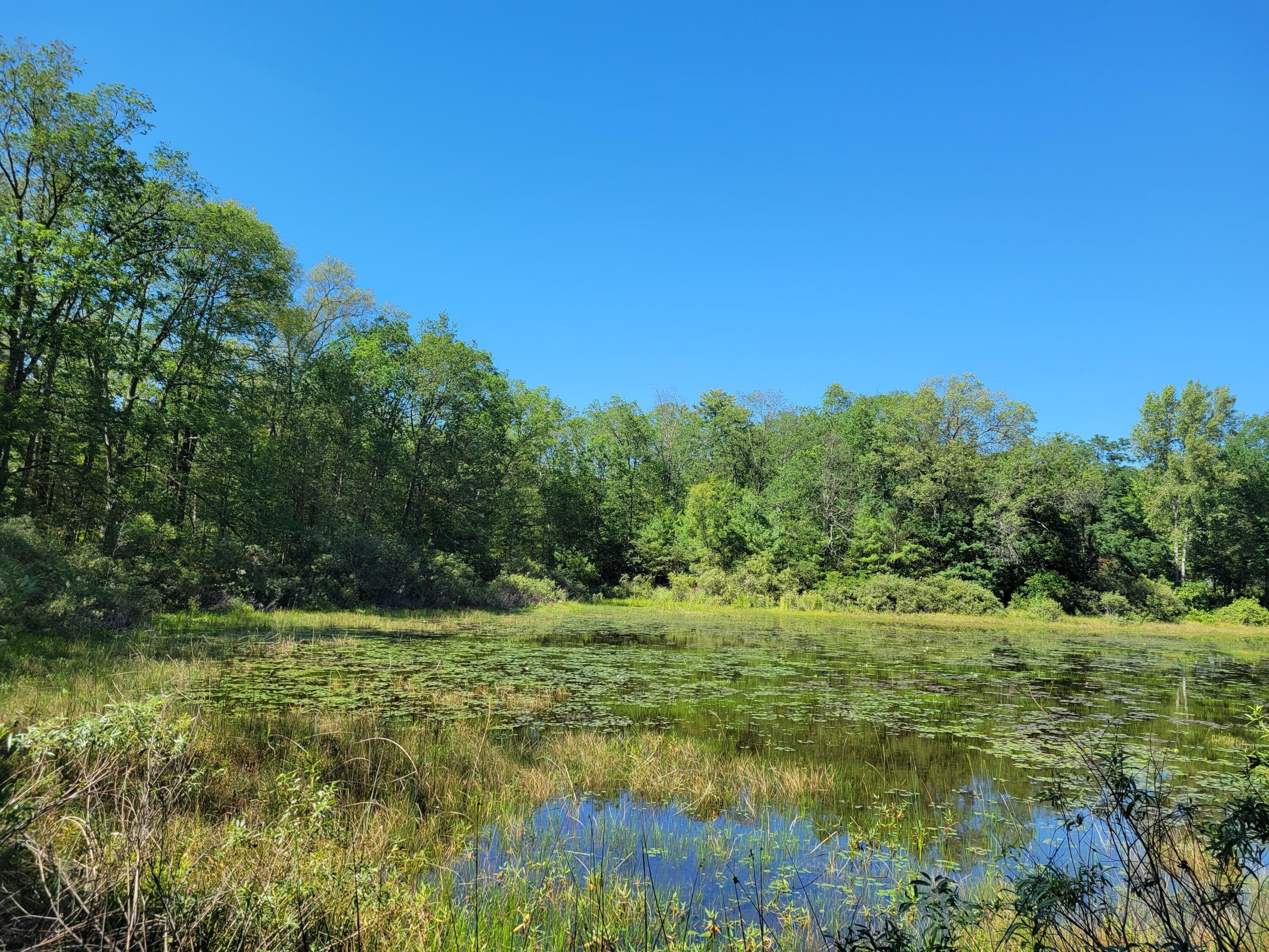 Wellston, Manistee County, MI Undeveloped Land, Lakefront Property