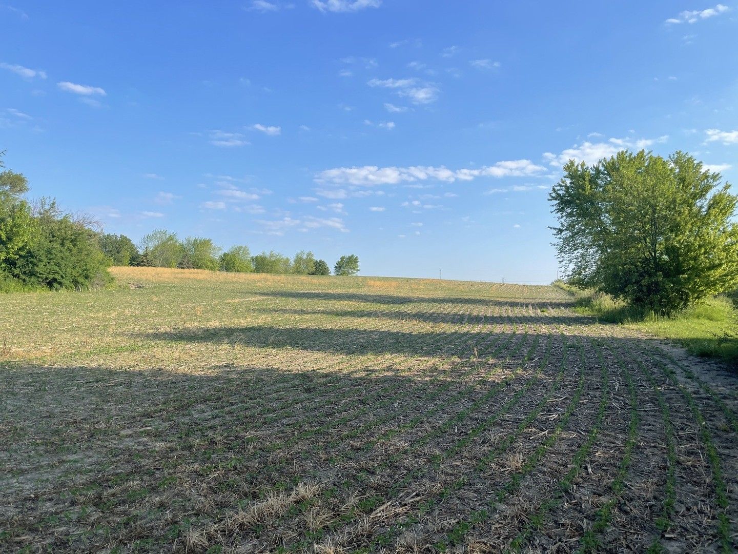 Monee, Will County, IL Farms and Ranches, Lakefront Property