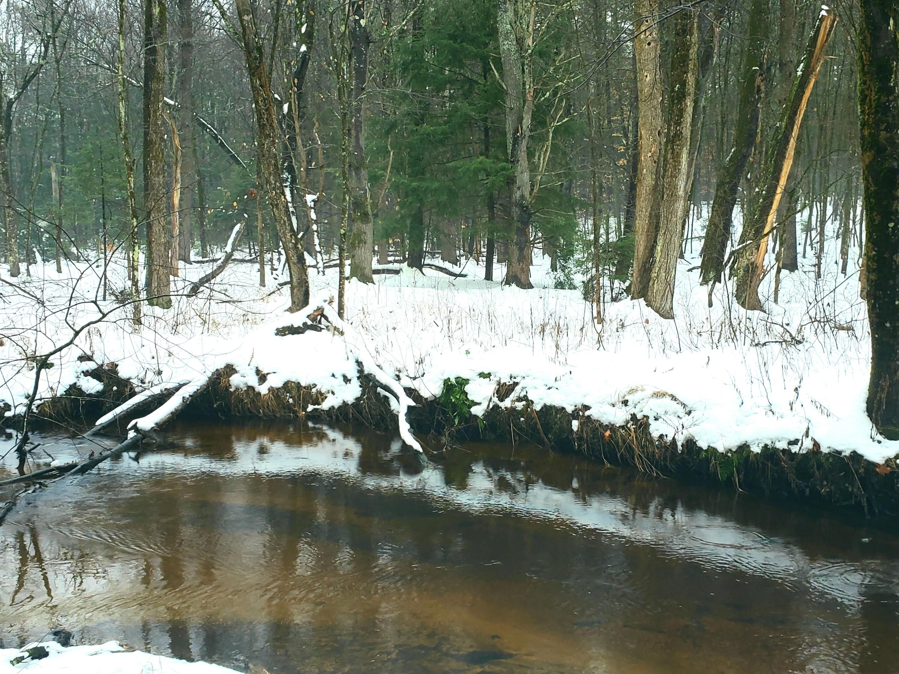 Limington, York County, ME Undeveloped Land, Lakefront Property