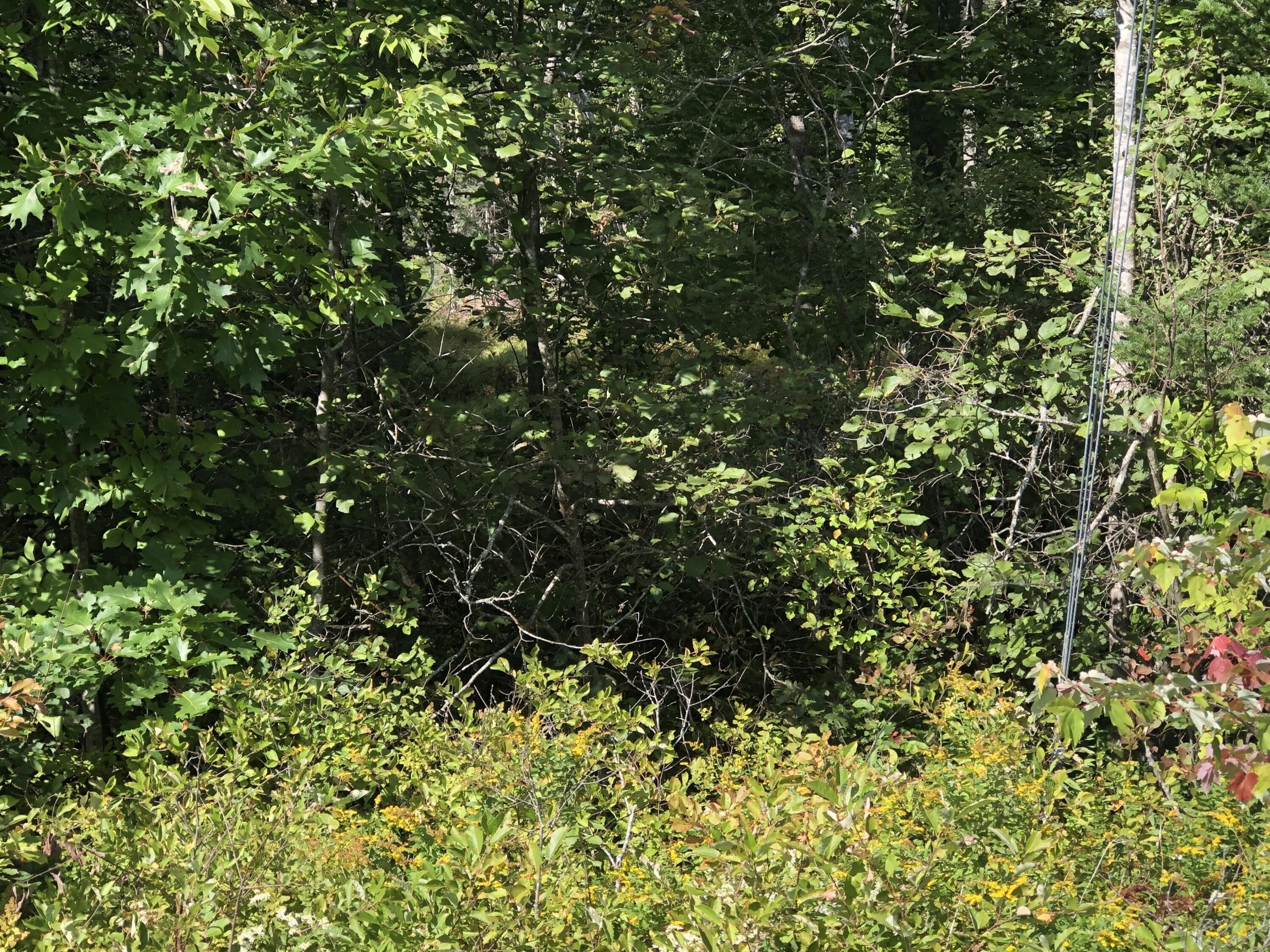 Surry, Hancock County, ME Undeveloped Land, Lakefront Property