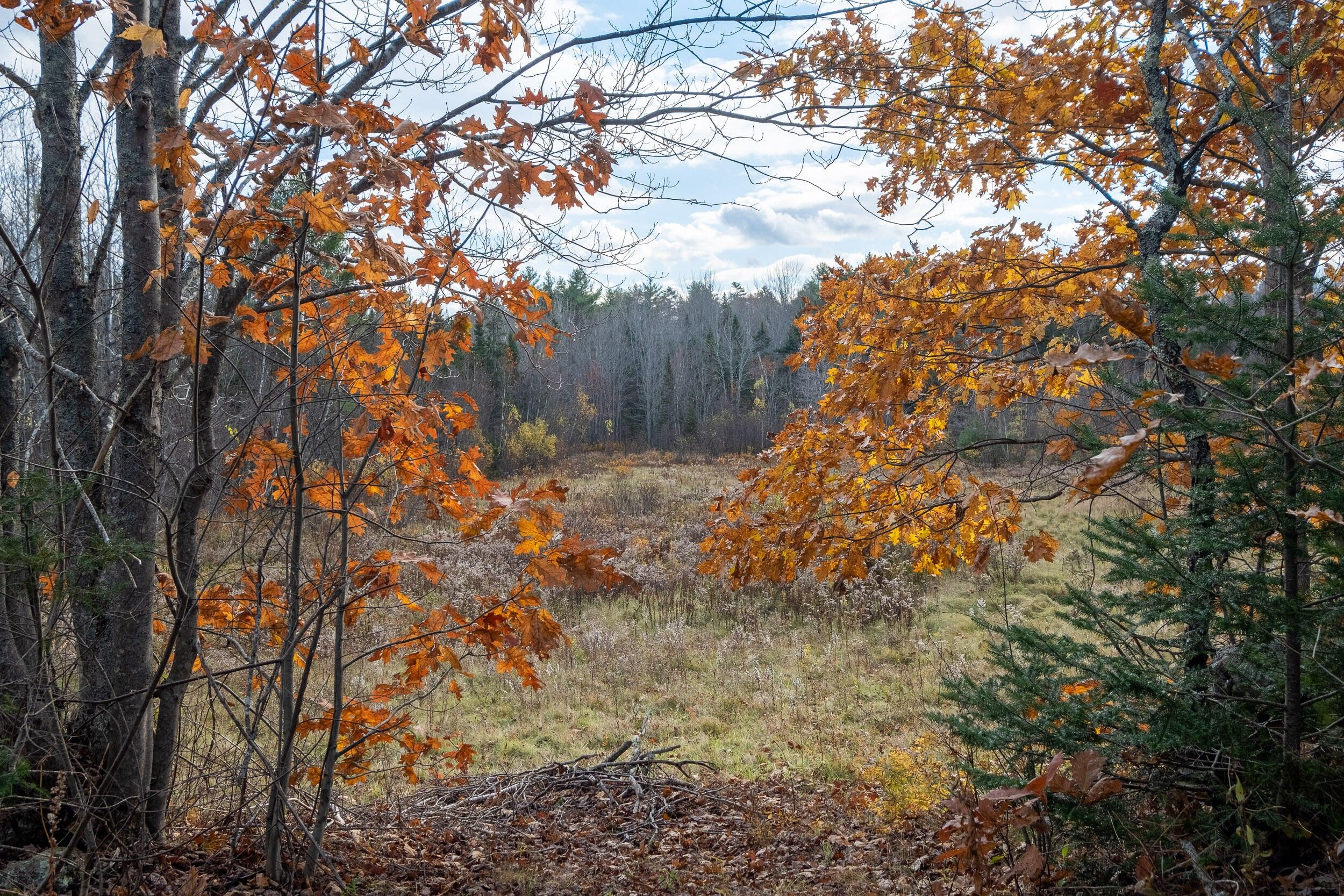 Waldoboro, Lincoln County, ME Undeveloped Land for sale Property ID