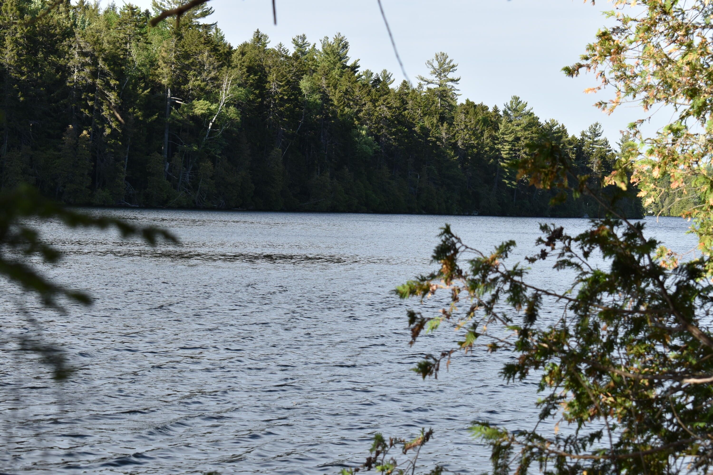 Weston, Aroostook County, ME Undeveloped Land, Lakefront Property