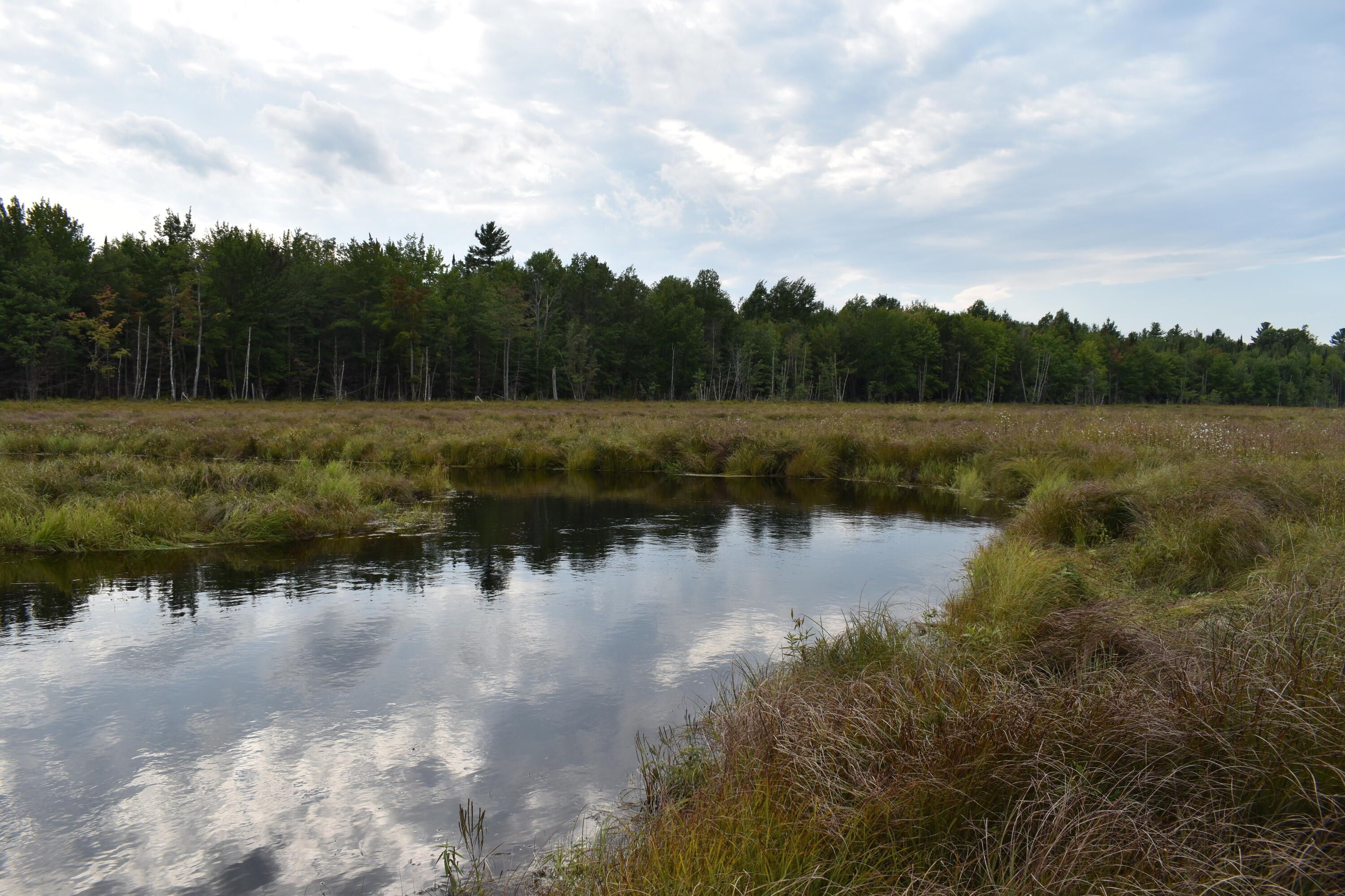 Greenbush, Penobscot County, ME Undeveloped Land, Lakefront Property