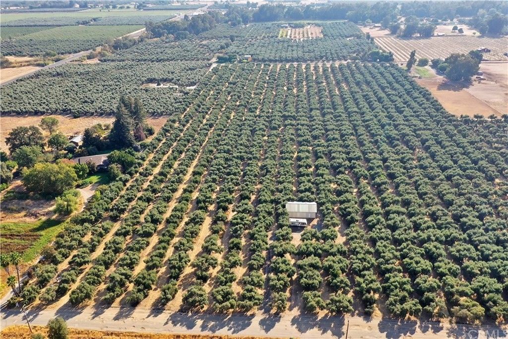 Corning, Tehama County, CA Farms and Ranches for sale Property ID