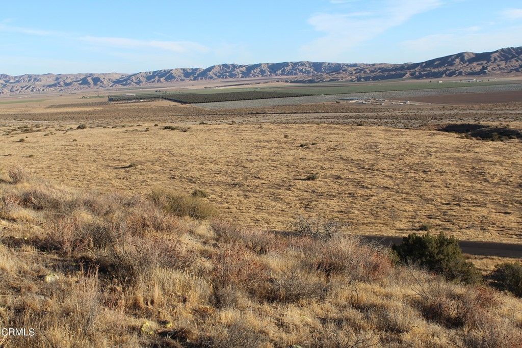 Cuyama, Santa Barbara County, CA Undeveloped Land for sale Property ID